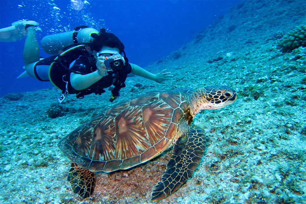 Scuba Diving in Goa